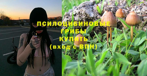 гашик Армянск