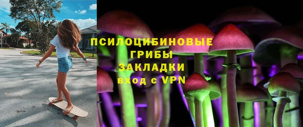 a pvp Аркадак
